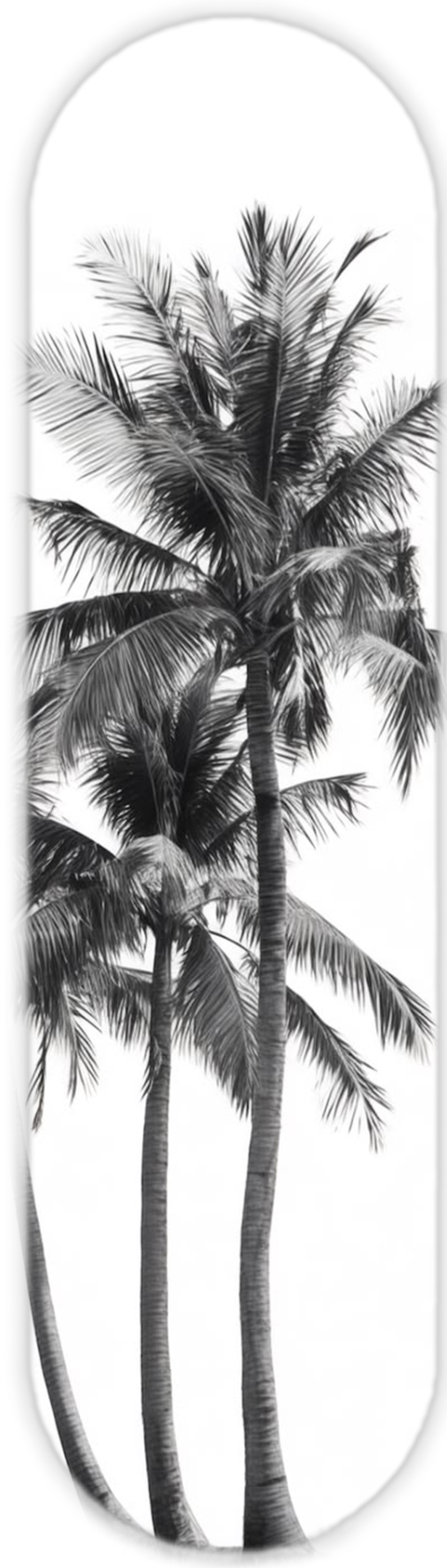 PALMS