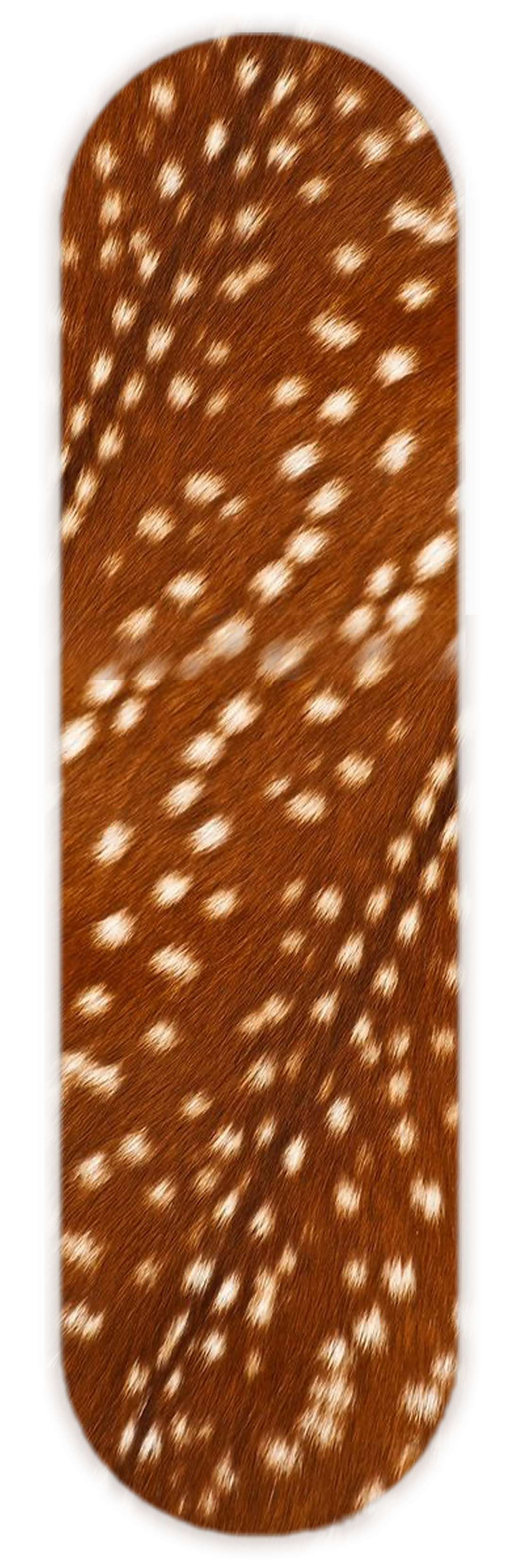 BAMBI PRINT