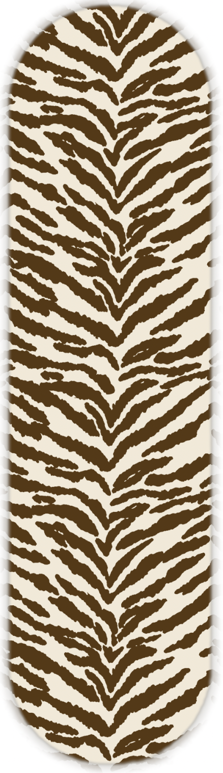 COLORFUL ZEBRA PRINT