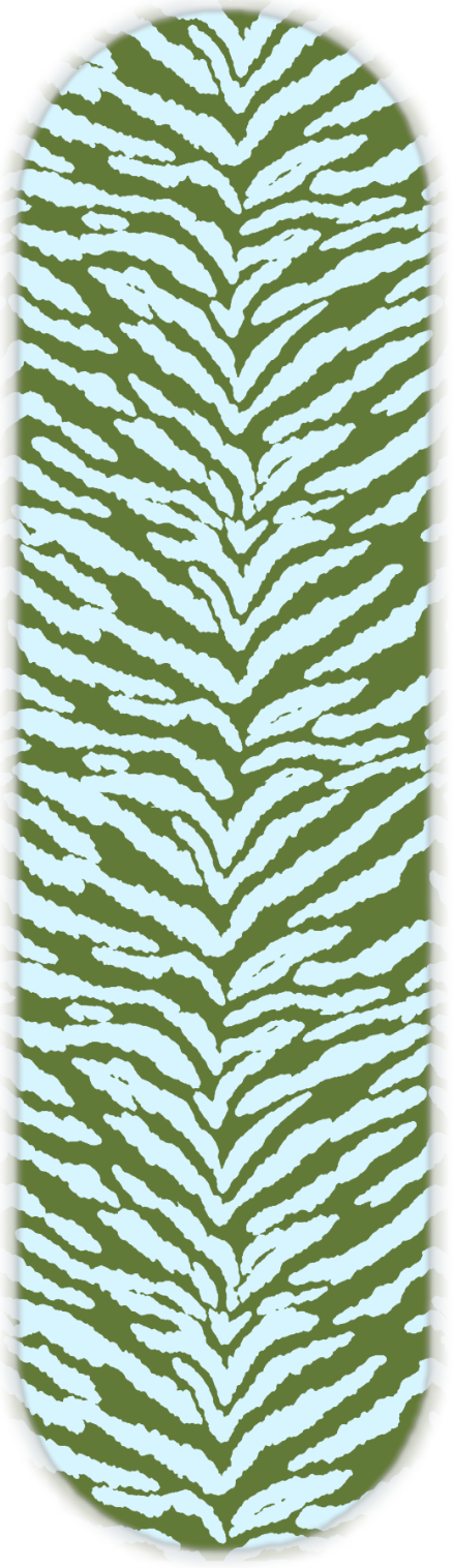 COLORFUL ZEBRA PRINT
