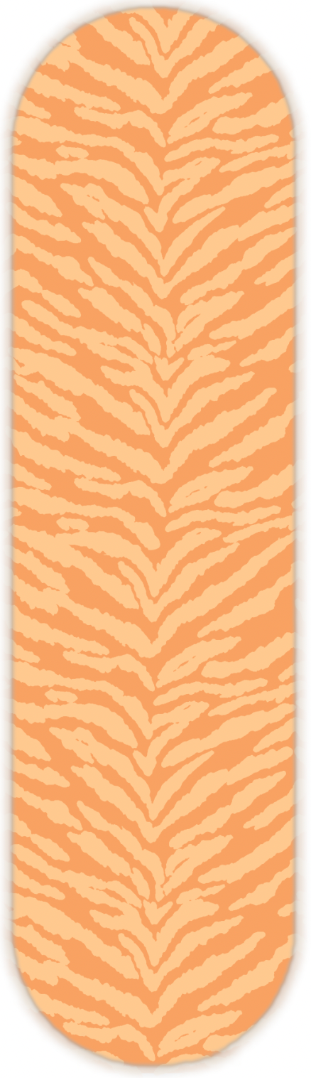 COLORFUL ZEBRA PRINT