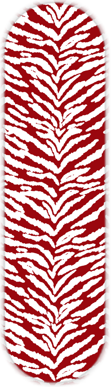COLORFUL ZEBRA PRINT