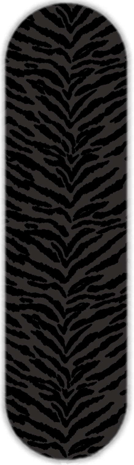 COLORFUL ZEBRA PRINT