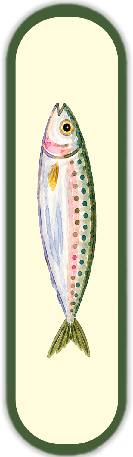 FISH PORTRAITS