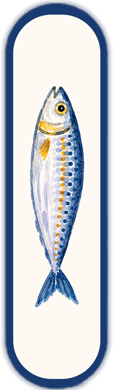 FISH PORTRAITS