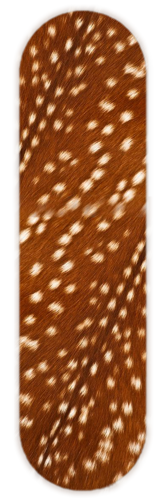 BAMBI PRINT