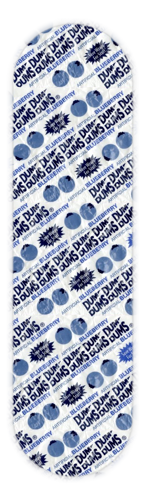 BLUEBERRY WRAPPER